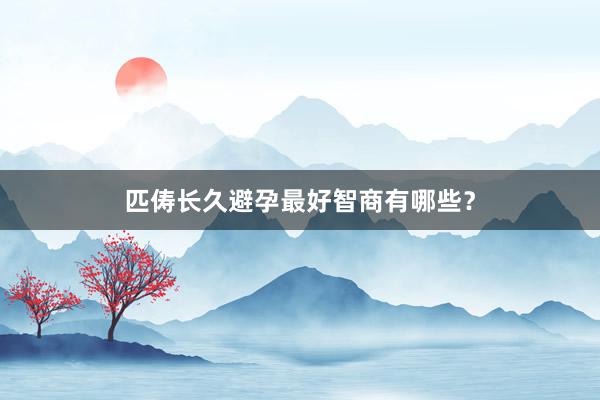 匹俦长久避孕最好智商有哪些？